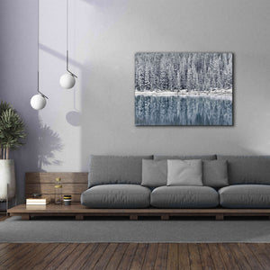 'Winter Reflections' by Alan Majchrowicz,Giclee Canvas Wall Art,54x40