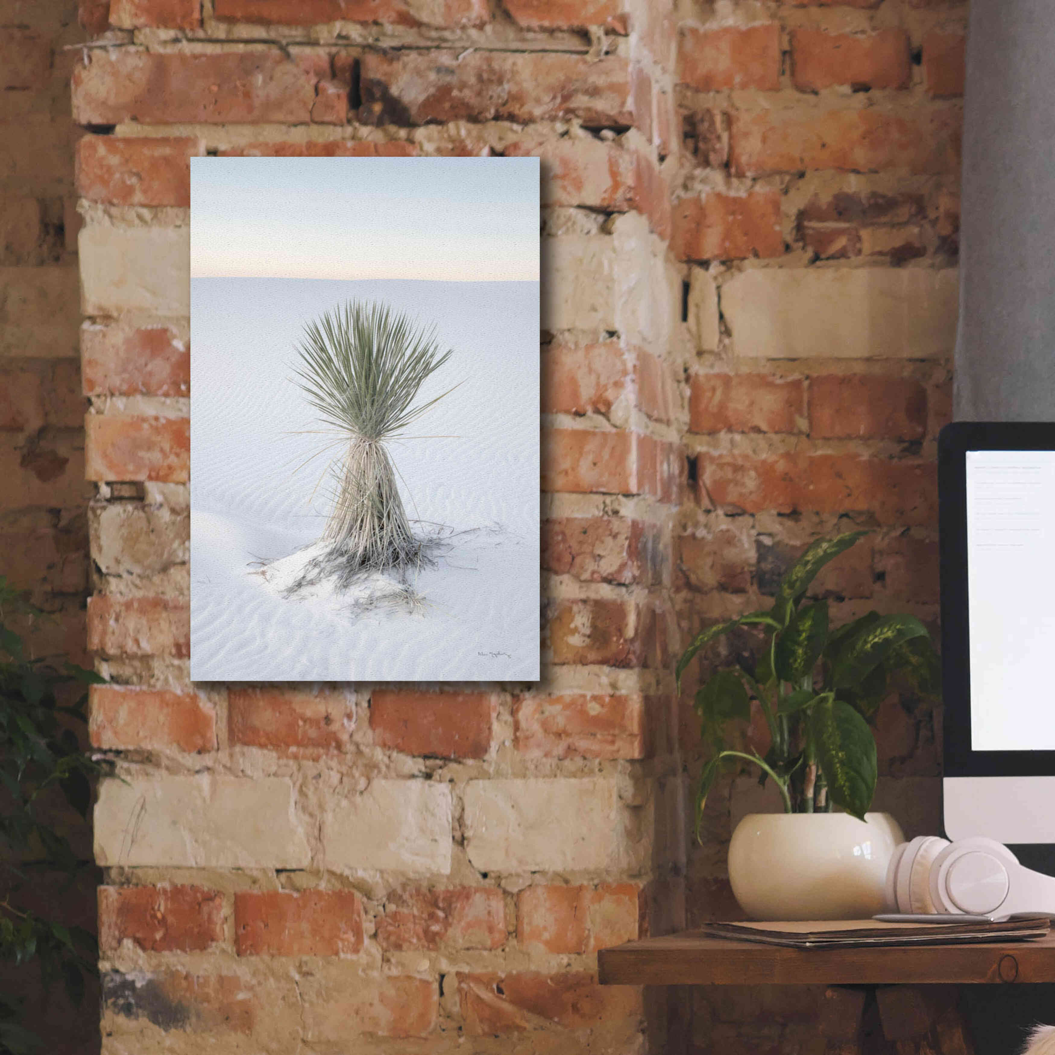 'Yucca in White Sands National Monument' by Alan Majchrowicz,Giclee Canvas Wall Art,12x18
