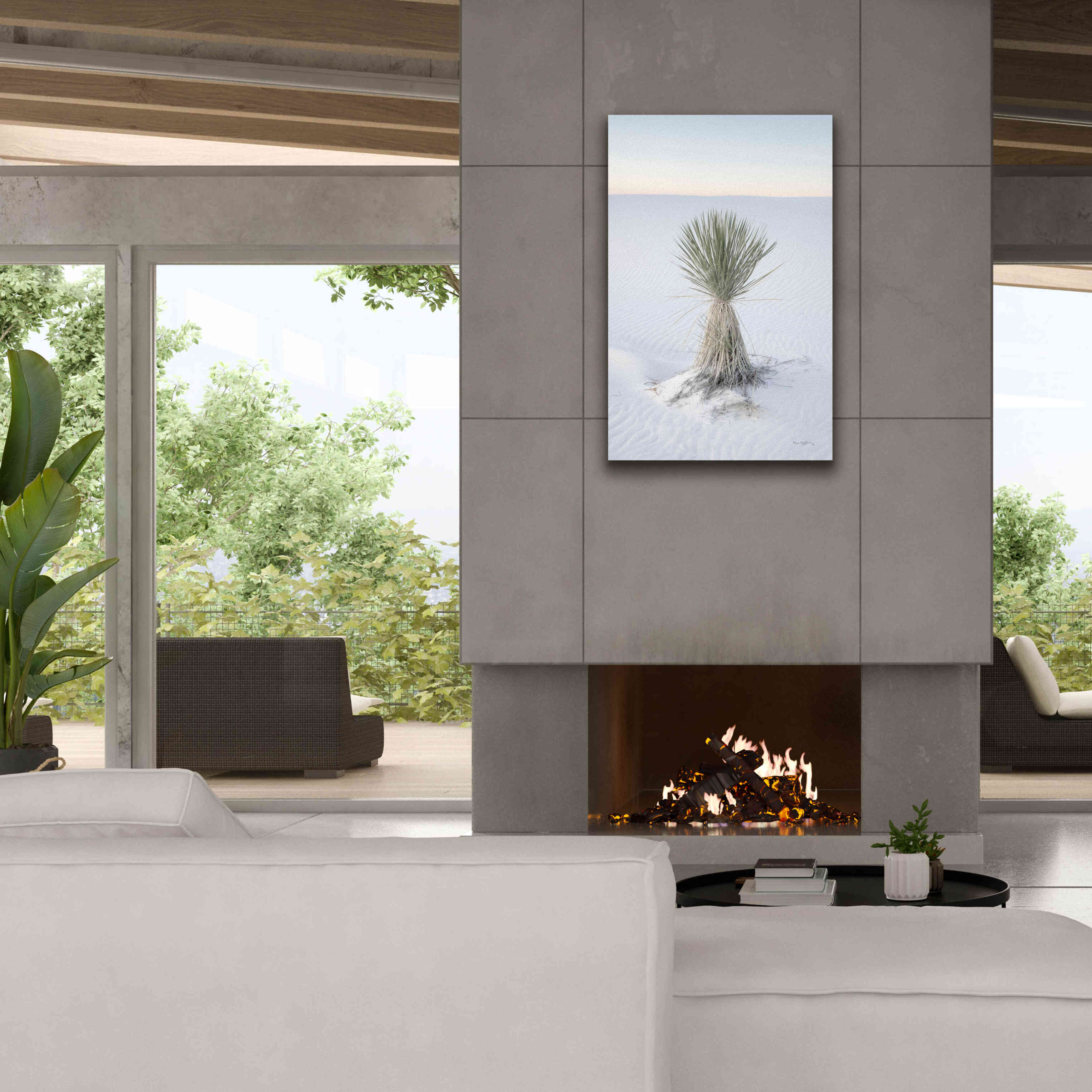 'Yucca in White Sands National Monument' by Alan Majchrowicz,Giclee Canvas Wall Art,26x40