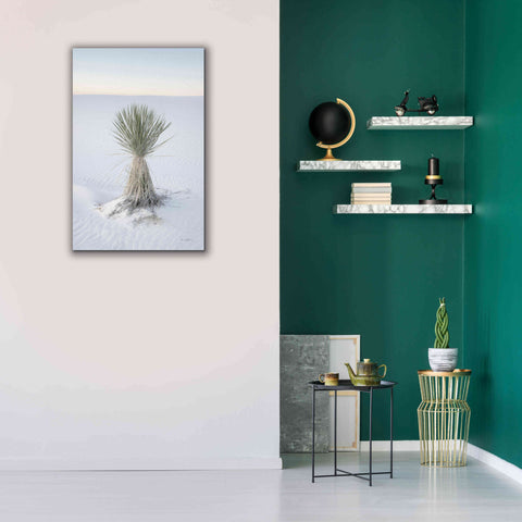 Image of 'Yucca in White Sands National Monument' by Alan Majchrowicz,Giclee Canvas Wall Art,26x40