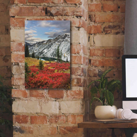 Image of 'Lake Ann North Cascades' by Alan Majchrowicz,Giclee Canvas Wall Art,12x18