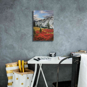 'Lake Ann North Cascades' by Alan Majchrowicz,Giclee Canvas Wall Art,12x18