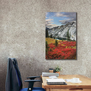 'Lake Ann North Cascades' by Alan Majchrowicz,Giclee Canvas Wall Art,26x40