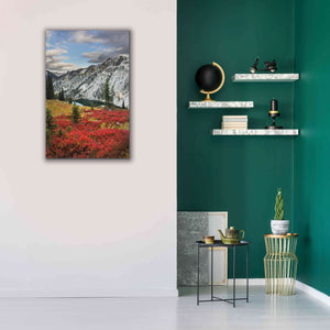 'Lake Ann North Cascades' by Alan Majchrowicz,Giclee Canvas Wall Art,26x40