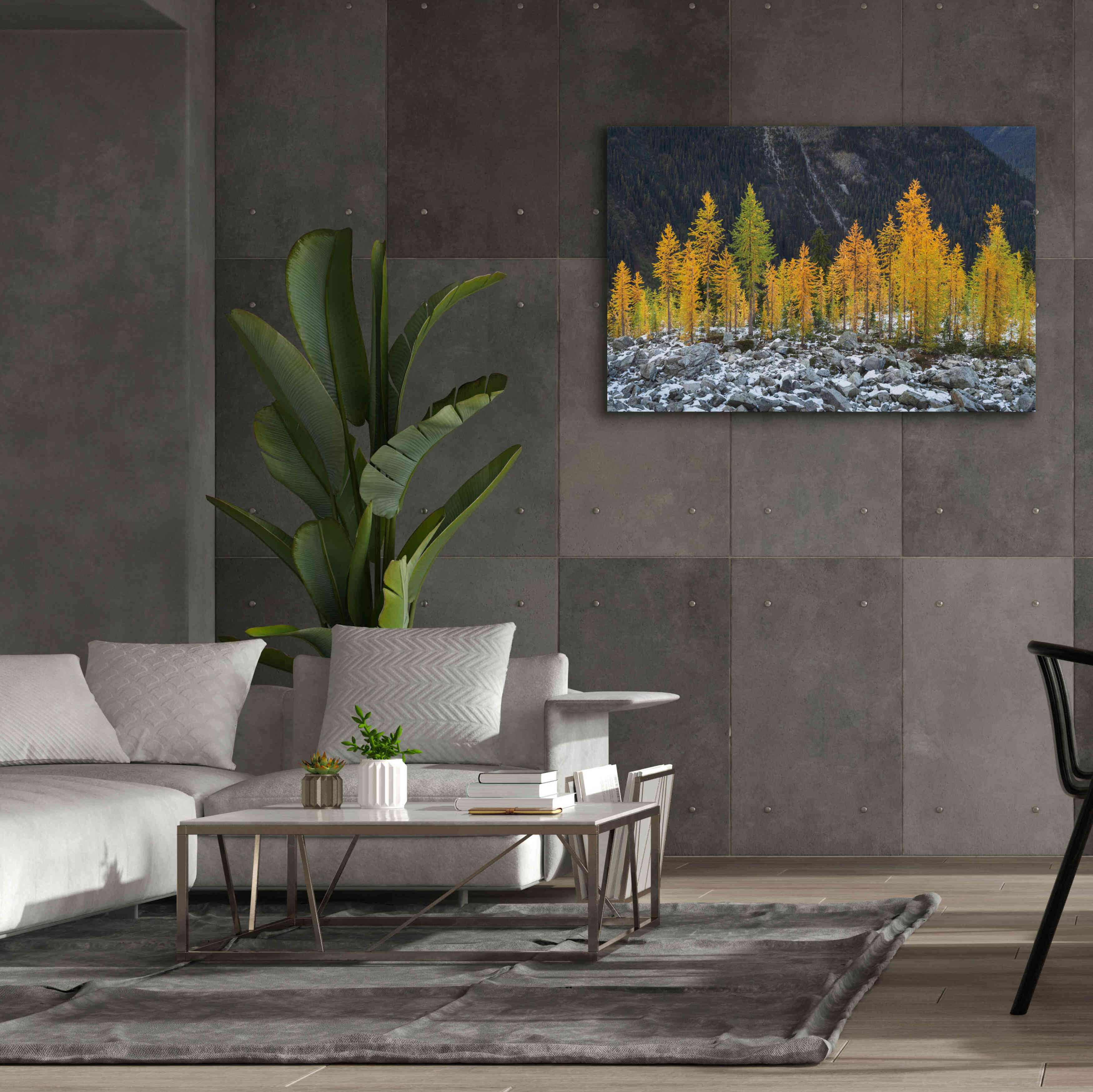 'Alpine Larches North Cascades' by Alan Majchrowicz,Giclee Canvas Wall Art,60x40