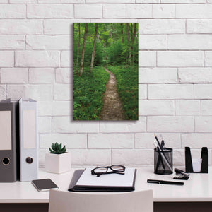 'North Country Trail' by Alan Majchrowicz,Giclee Canvas Wall Art,12x18