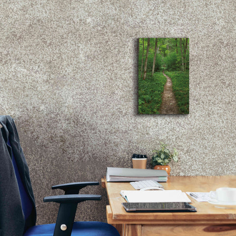 Image of 'North Country Trail' by Alan Majchrowicz,Giclee Canvas Wall Art,12x18