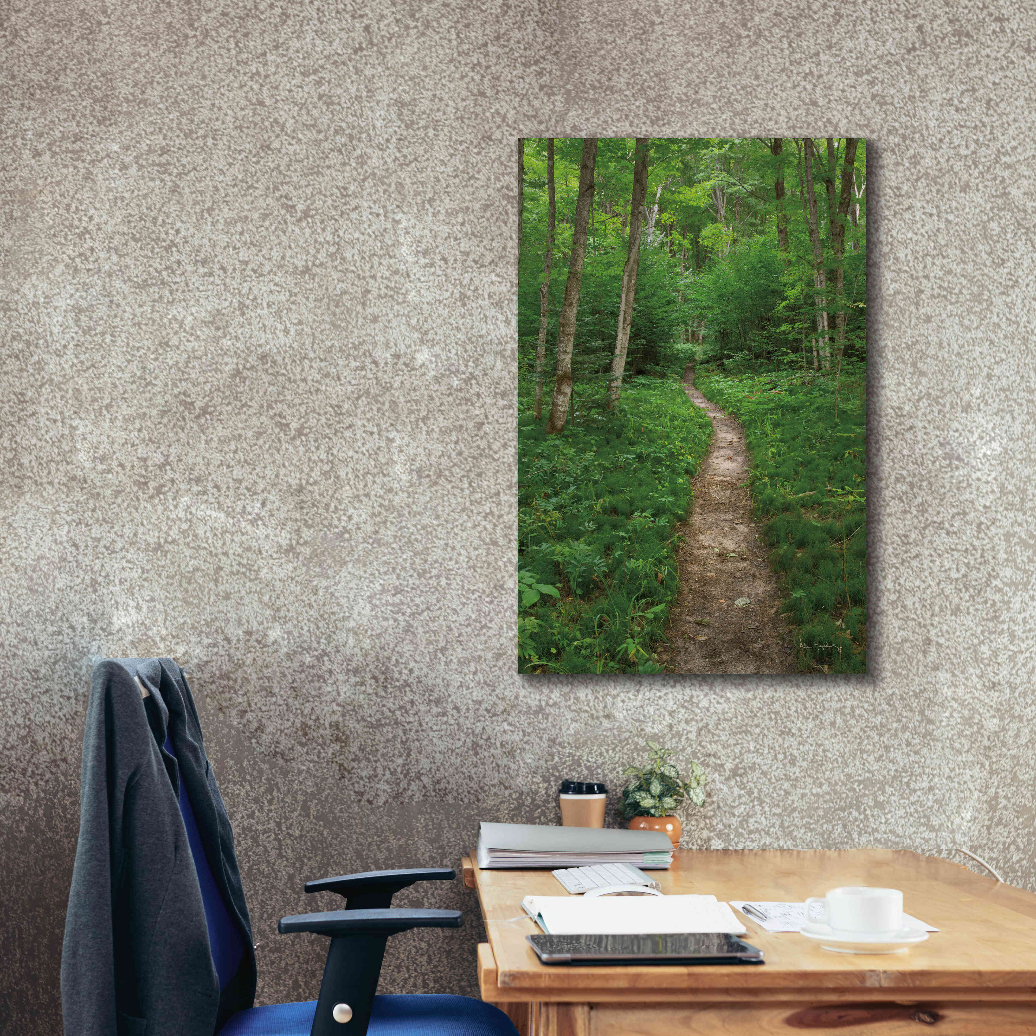 'North Country Trail' by Alan Majchrowicz,Giclee Canvas Wall Art,26x40