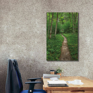 'North Country Trail' by Alan Majchrowicz,Giclee Canvas Wall Art,26x40