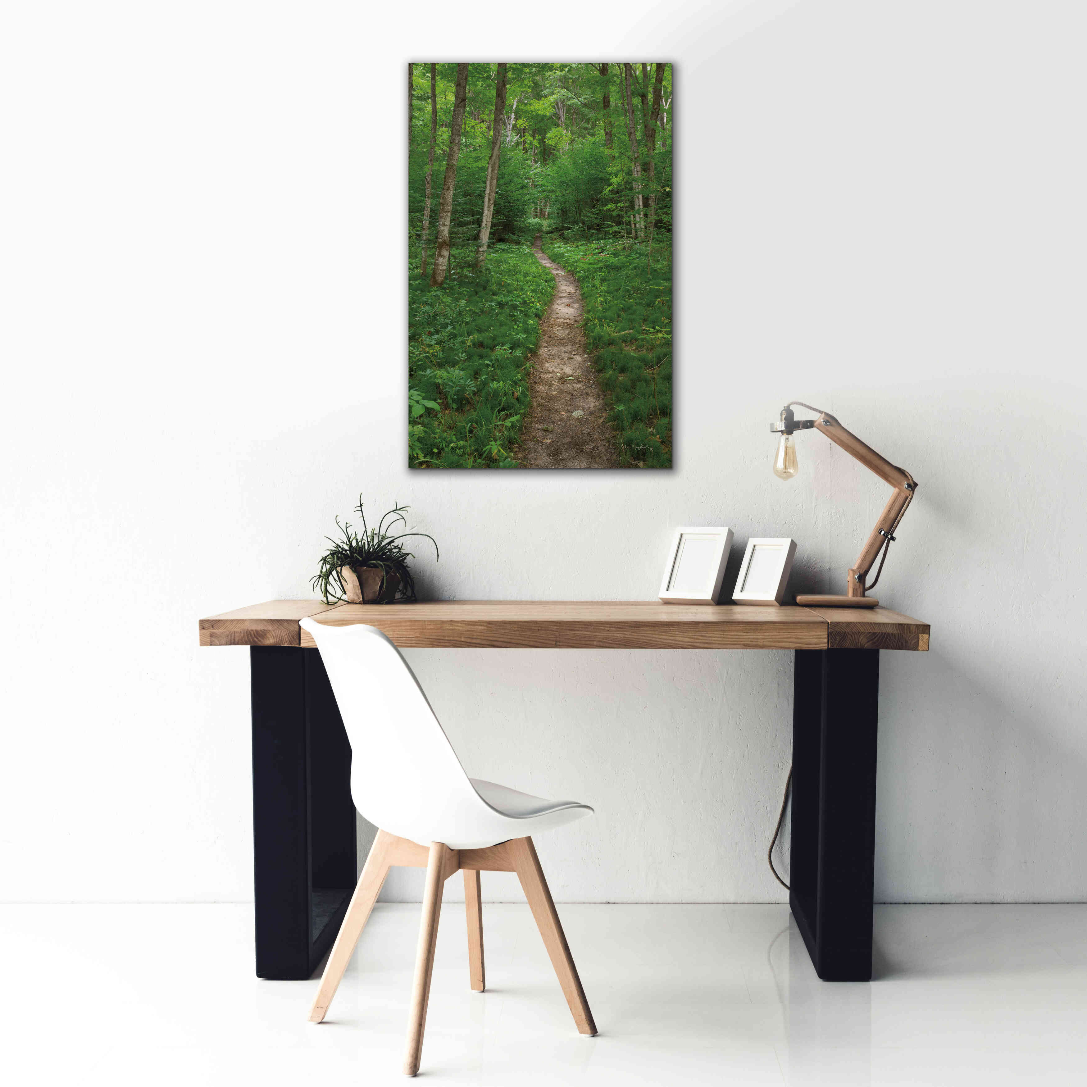 'North Country Trail' by Alan Majchrowicz,Giclee Canvas Wall Art,26x40