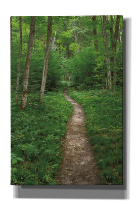 'North Country Trail' by Alan Majchrowicz,Giclee Canvas Wall Art