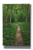 'North Country Trail' by Alan Majchrowicz,Giclee Canvas Wall Art
