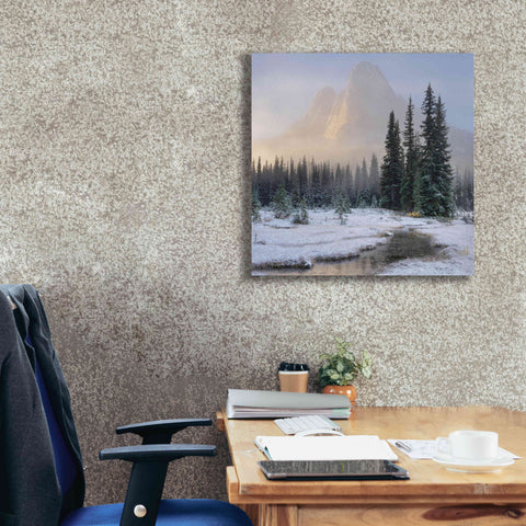 Image of 'Bell Mountain North Cascades II' by Alan Majchrowicz,Giclee Canvas Wall Art,26x26