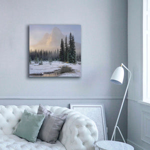 'Bell Mountain North Cascades II' by Alan Majchrowicz,Giclee Canvas Wall Art,37x37