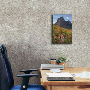 'Boulder Pass Wildflowers' by Alan Majchrowicz,Giclee Canvas Wall Art,12x18