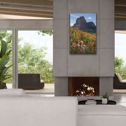 Image of 'Boulder Pass Wildflowers' by Alan Majchrowicz,Giclee Canvas Wall Art,26x40