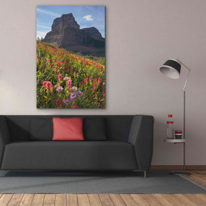 'Boulder Pass Wildflowers' by Alan Majchrowicz,Giclee Canvas Wall Art,40x60