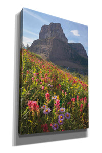 'Boulder Pass Wildflowers' by Alan Majchrowicz,Giclee Canvas Wall Art