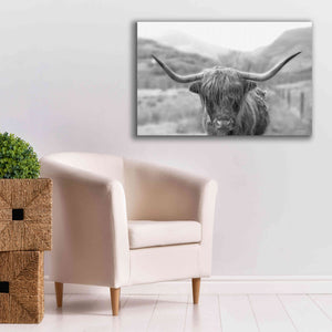 'Scottish Highland Cattle III Neutral Crop' by Alan Majchrowicz,Giclee Canvas Wall Art,40x26