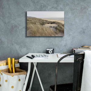 'Oregon Dunes' by Alan Majchrowicz,Giclee Canvas Wall Art,18x12