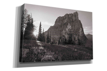 'Boulder Pass Glacier National Park BW' by Alan Majchrowicz,Giclee Canvas Wall Art