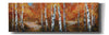 'Autumn Birch II' by Art Fronckowiak, Giclee Canvas Wall Art