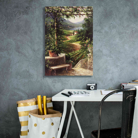 Image of 'Chianti Vineyard' by Art Fronckowiak, Giclee Canvas Wall Art,18x26