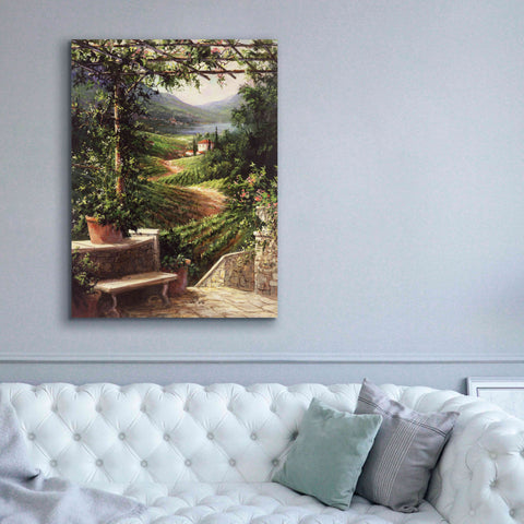 Image of 'Chianti Vineyard' by Art Fronckowiak, Giclee Canvas Wall Art,40x54
