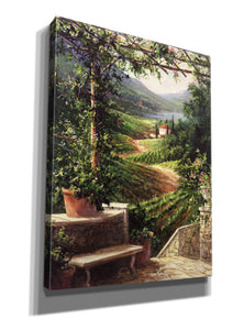 'Chianti Vineyard' by Art Fronckowiak, Giclee Canvas Wall Art