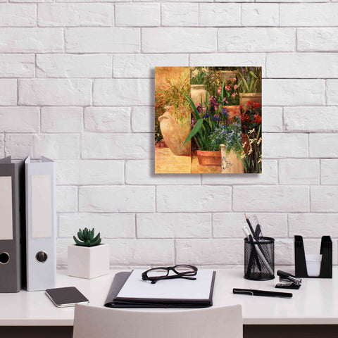 Image of 'Flower Pots Left' by Art Fronckowiak, Giclee Canvas Wall Art,12x12