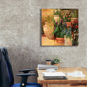 'Flower Pots Left' by Art Fronckowiak, Giclee Canvas Wall Art,26x26