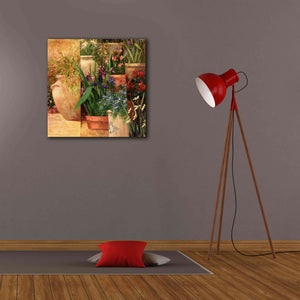 'Flower Pots Left' by Art Fronckowiak, Giclee Canvas Wall Art,26x26
