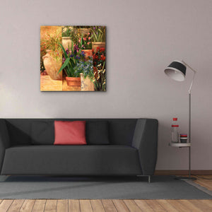 'Flower Pots Left' by Art Fronckowiak, Giclee Canvas Wall Art,37x37