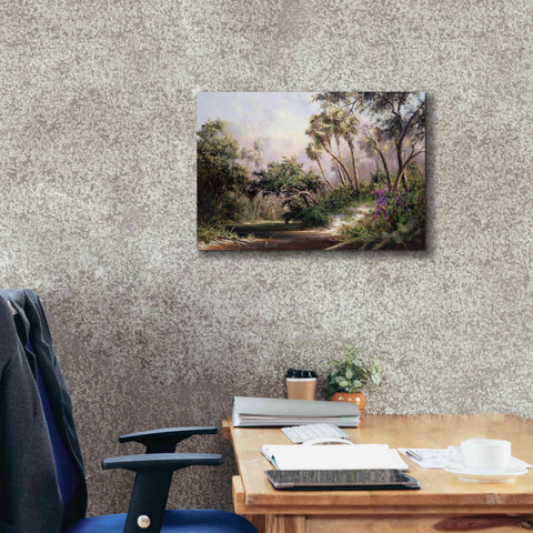 Image of 'Myakka River Scene' by Art Fronckowiak, Giclee Canvas Wall Art,24x20