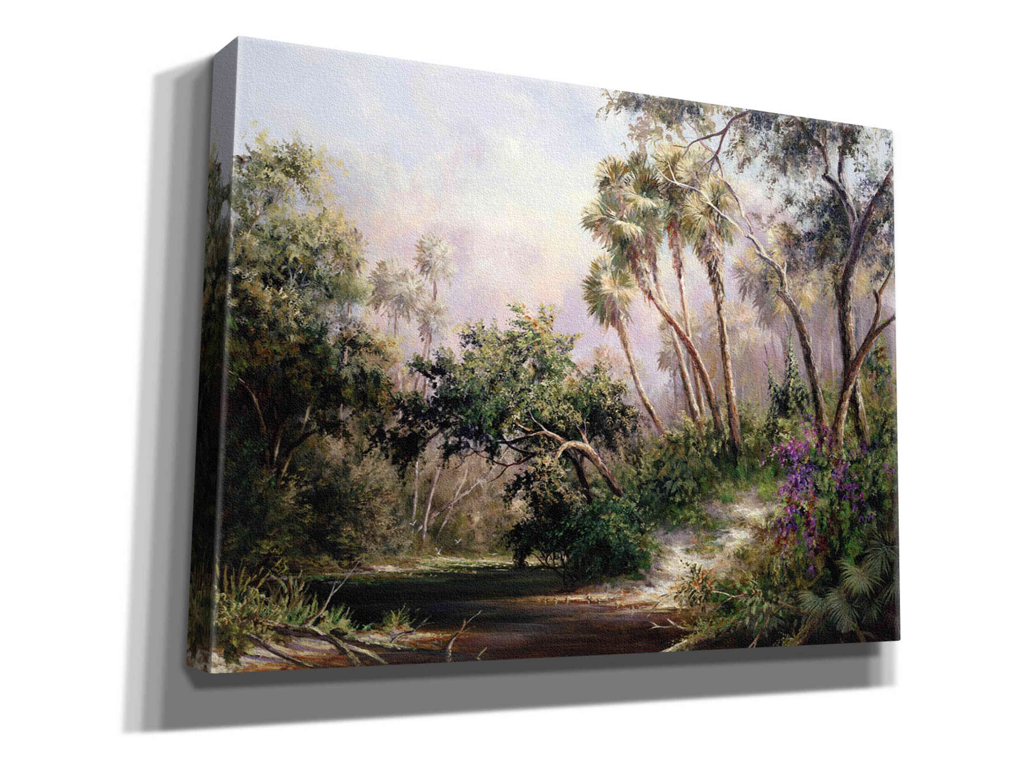 'Myakka River Scene' by Art Fronckowiak, Giclee Canvas Wall Art