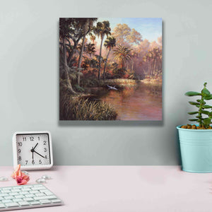 'Myakka Sunset' by Art Fronckowiak, Giclee Canvas Wall Art,12x12