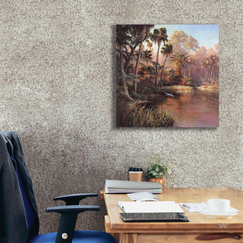 Image of 'Myakka Sunset' by Art Fronckowiak, Giclee Canvas Wall Art,26x26