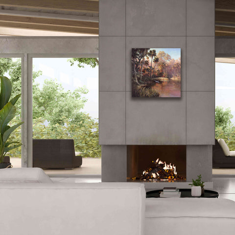 Image of 'Myakka Sunset' by Art Fronckowiak, Giclee Canvas Wall Art,26x26