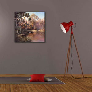 'Myakka Sunset' by Art Fronckowiak, Giclee Canvas Wall Art,26x26