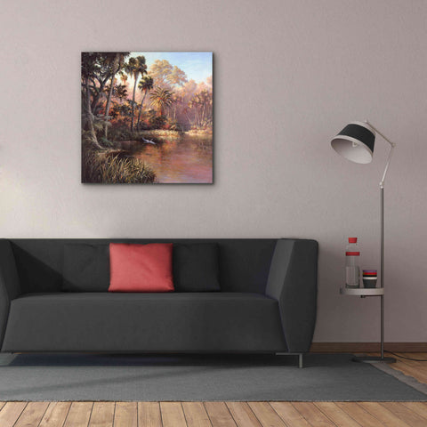 Image of 'Myakka Sunset' by Art Fronckowiak, Giclee Canvas Wall Art,37x37