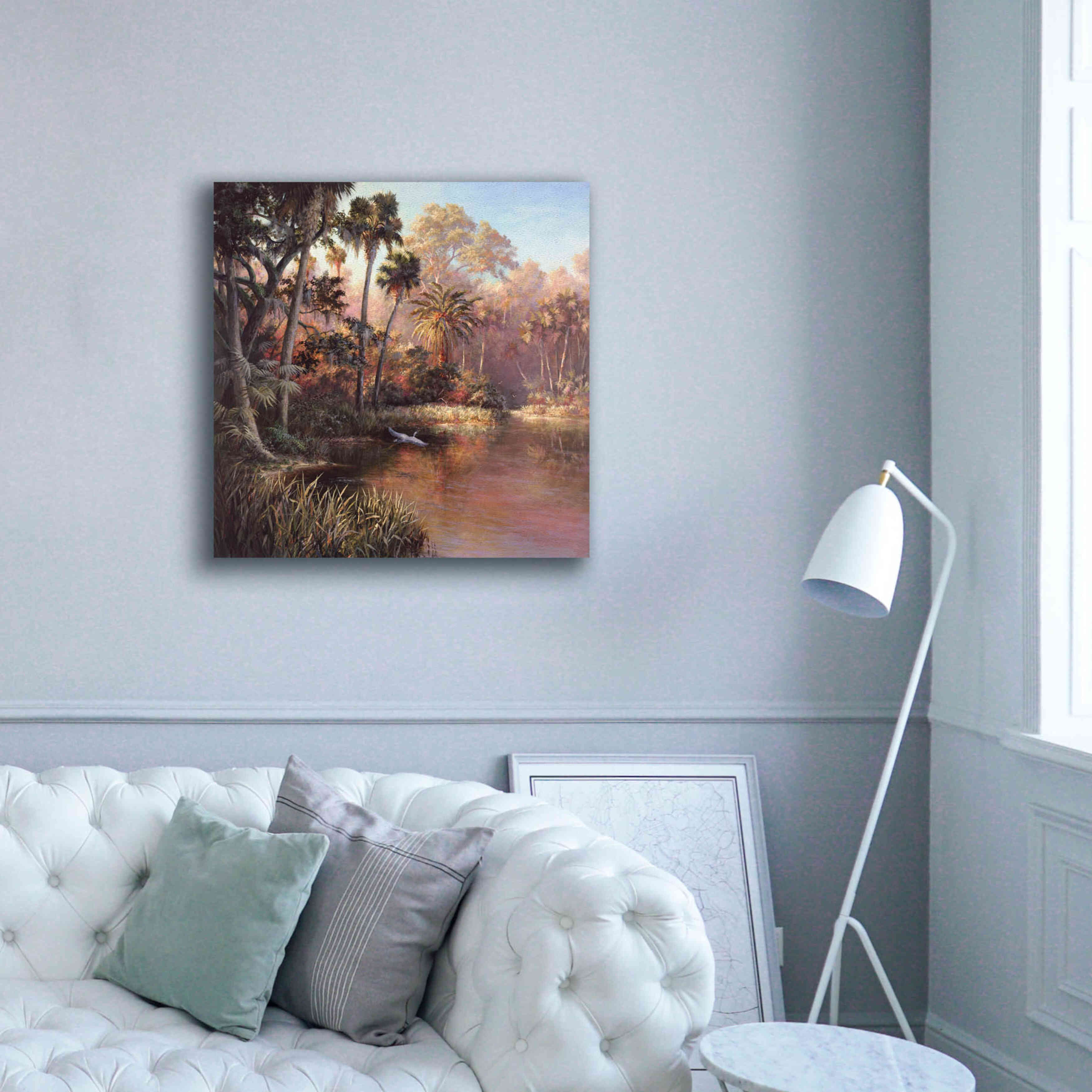 'Myakka Sunset' by Art Fronckowiak, Giclee Canvas Wall Art,37x37