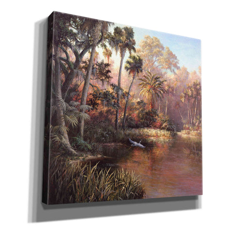 Image of 'Myakka Sunset' by Art Fronckowiak, Giclee Canvas Wall Art