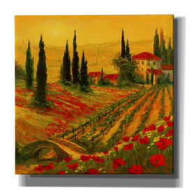 'Poppies of Toscano I' by Art Fronckowiak, Giclee Canvas Wall Art