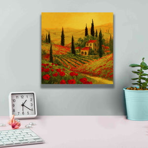 'Poppies of Toscano II' by Art Fronckowiak, Giclee Canvas Wall Art,12x12