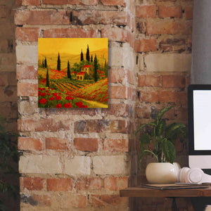 'Poppies of Toscano II' by Art Fronckowiak, Giclee Canvas Wall Art,12x12