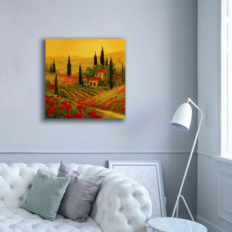 Image of 'Poppies of Toscano II' by Art Fronckowiak, Giclee Canvas Wall Art,37x37