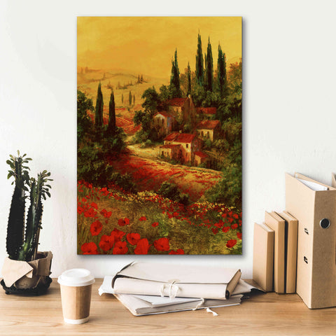 Image of 'Toscano Valley I' by Art Fronckowiak, Giclee Canvas Wall Art,18x26