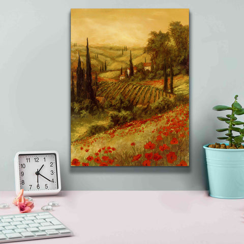 Image of 'Toscano Valley II' by Art Fronckowiak, Giclee Canvas Wall Art,12x16