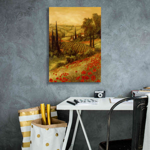 'Toscano Valley II' by Art Fronckowiak, Giclee Canvas Wall Art,18x26