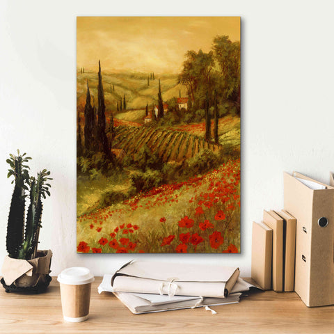 Image of 'Toscano Valley II' by Art Fronckowiak, Giclee Canvas Wall Art,18x26